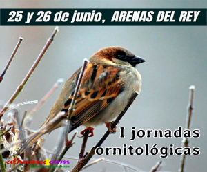 I Jornadas Ornitológicas de Arenas del Rey