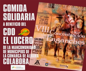 Comida solidaria a beneficio del centro ocupacional El Lucero