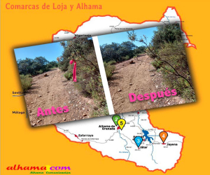 A veces tienes que hacer tu trabajo y no te gusta lo que descubres