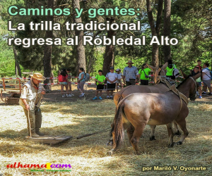 La trilla tradicional regresa al Robledal Alto
