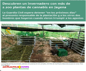 Descubren un invernadero con más de 2.200 plantas de cannabis en Jayena