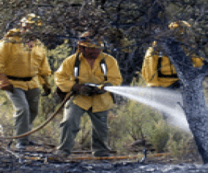 El fuego quedó controlado y apagado a las pocas horas