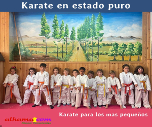 Karate en estado puro