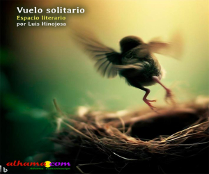 Vuelo solitario