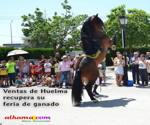 Ventas de Huelma recupera al trote su feria de ganado