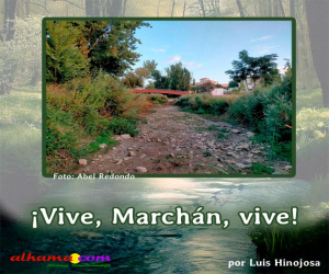 ¡Vive, Marchán, vive!