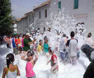 Fiestas de Arenas del Rey 2007
