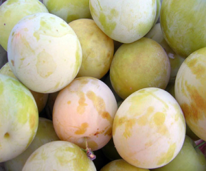 COAG denuncia publicidad engañosa