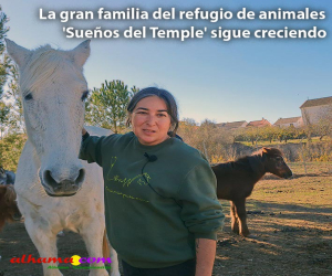 La gran familia del refugio de animales 'Sueños del Temple' sigue creciendo