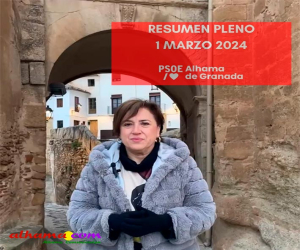 Balance del pleno municipal de febrero de 2024