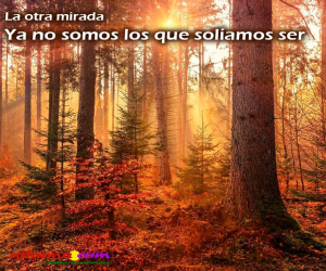 Ya no somos los que solíamos ser