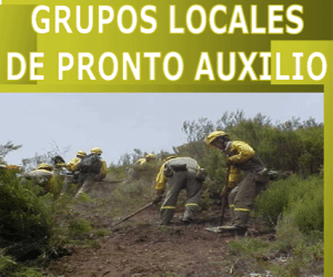 En defensa de nuestra foresta