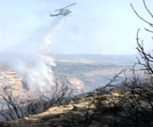 Sigue el calendario de reuniones para la defensa forestal