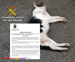 El Ayuntamiento de Santa Cruz del Comercio publica un bando ante la aparición de animales domésticos envenenados