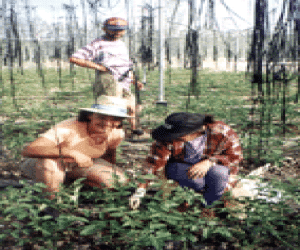 Cursos para desempleados