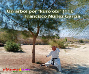 Un árbol por "kuro obi" (11): Francisco Núñez García