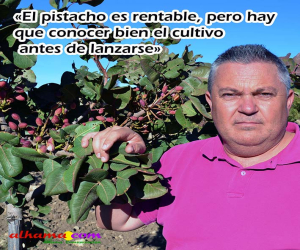 «El pistacho es rentable, pero hay que conocer bien el cultivo antes de lanzarse»