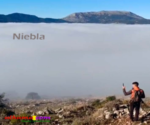 Niebla