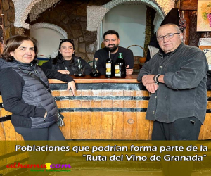 Poblaciones que podrían forma parte de la "Ruta del Vino de Granada"