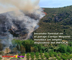 Incendio forestal en el paraje Cortijo Moyano moviliza un amplio dispositivo del INFOCA