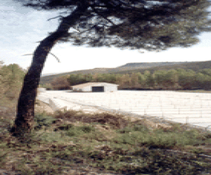 La Resinera, el mayor centro andaluz de cultivo de plantas autóctonas