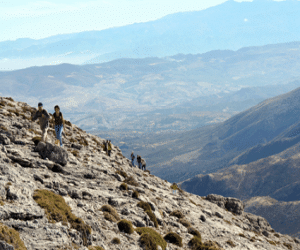 Medio Ambiente organiza rutas y cursos de iniciación a la micología en diversos parques naturales