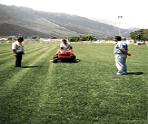 Primer campo de fútbol de césped de la comarca