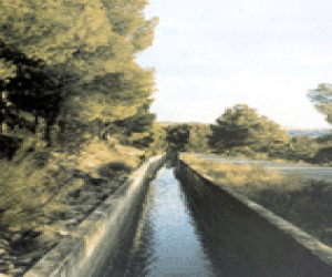 El procesado estaba "borracho" cuando ocurrieron los hechos