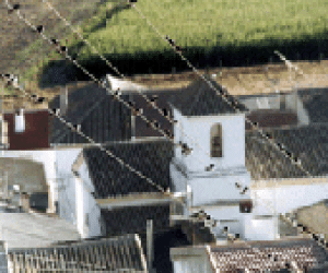 Dichos y curiosidades de Fornes