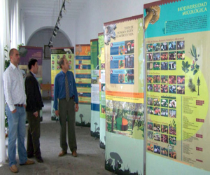 Inaugurada la exposición de setas y trufas