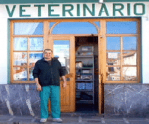 Matanza domiciliaria de cerdos