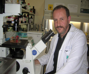 'El 99,9 % de las placentas de las mujeres que dan a luz en el Hospital Clínico de Granada tienen DDT'