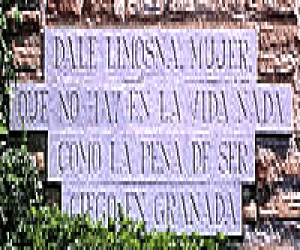 Curiosidades:  Los versos de F. A. de Icaza