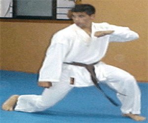 Campeonato de Andalucía de karate