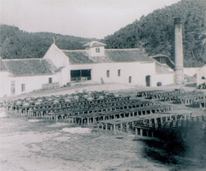 Estudio sobre aprovechamientos tradicionales y conocimiento del territorio