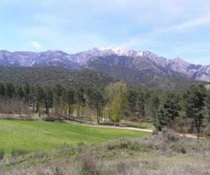 Las nieves perpetuas de la Sierra Tejeda a 2065 metros 
