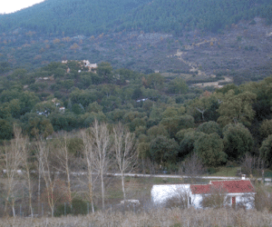 Denunciadas dos contrucciones ilegales en Alhama