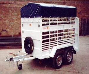 Curso gratuito de 'Biestar animal en el transporte'