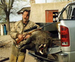 Los agricultores de Sierra Tejeda podrán abatir jabalíes