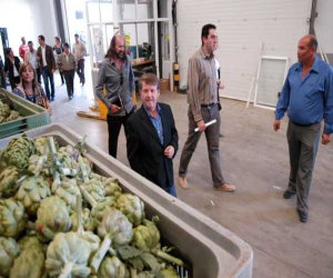 Donde vive el tomate ‘perfecto’