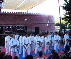 "El kárate es un arte marcial en el que la disciplina, respeto y honor tienen un marcado acento"