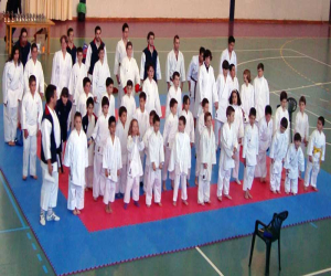 XVIII Trofeo Ippon de kárate