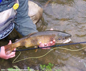 Concurso de pesca en el río Alhama