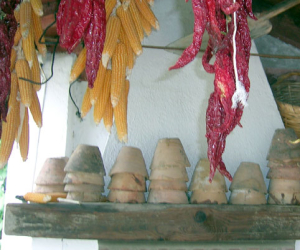 El 13 y 26 de junio La Resinera acoge sendas jornadas de educación medioambiental