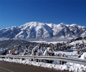  560 bosques islas entre las cuatro provincias de Andalucía Oriental
