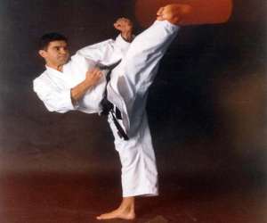 El 20 aniversario del club deportivo Alhama-Ippon