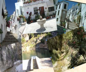 Anunciadas diversas actividades naturales