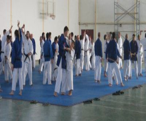 Celebrado el quinto curso de Goshin de la FAK