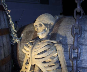 Jálogüin, el terror de los borregos