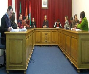 El último pleno de 2010 aprueba la donación de participaciones en una empresa que permitirá crear empleo